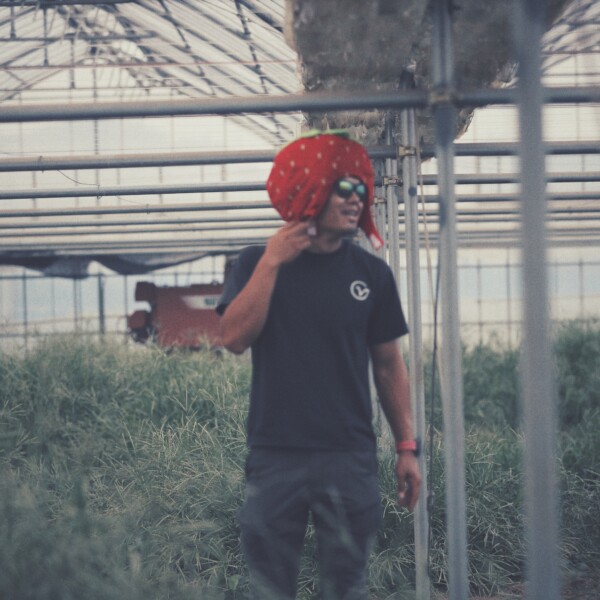 VISION